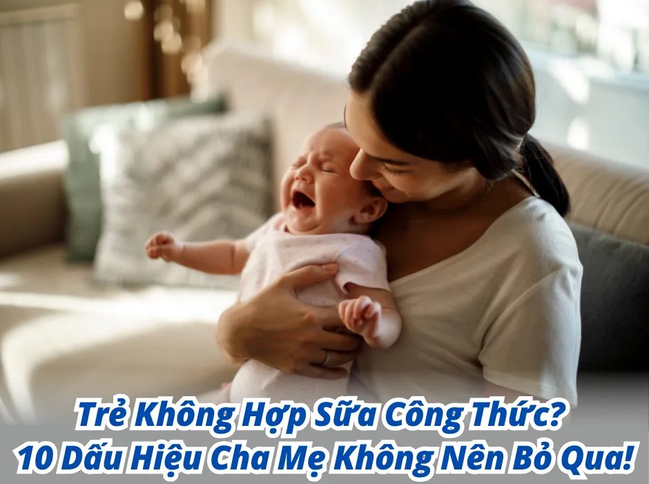 Trẻ Không Hợp Sữa Công Thức? 10 Dấu Hiệu Cha Mẹ Không Nên Bỏ Qua!